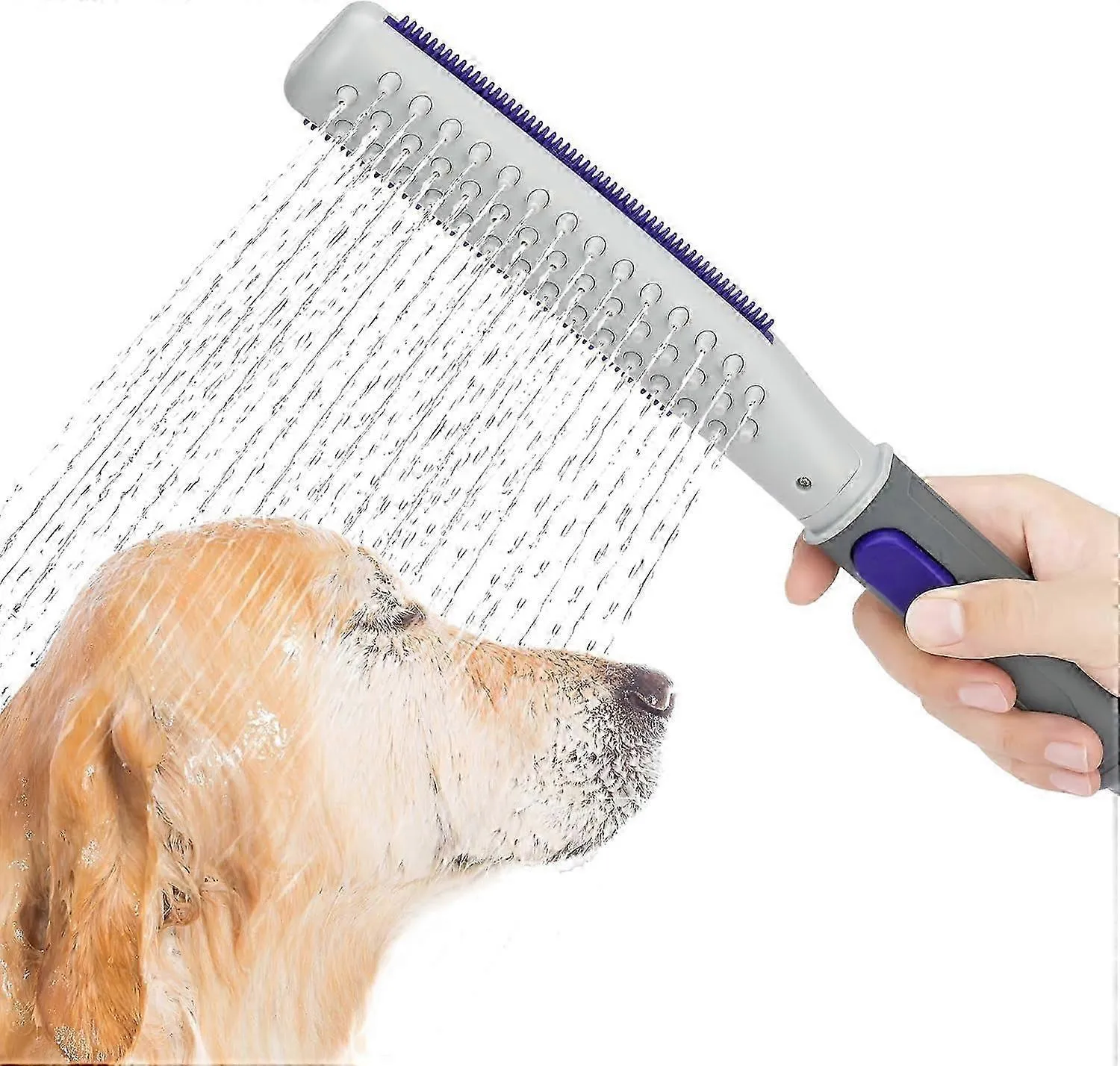 🐾 شستشوی سگ: راهنمای کامل شامپو، وسایل نظافت و نکات مهم